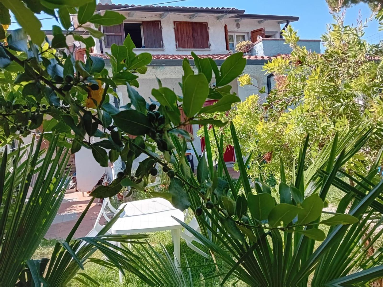 شقة Sogno Vacanze ماسا المظهر الخارجي الصورة